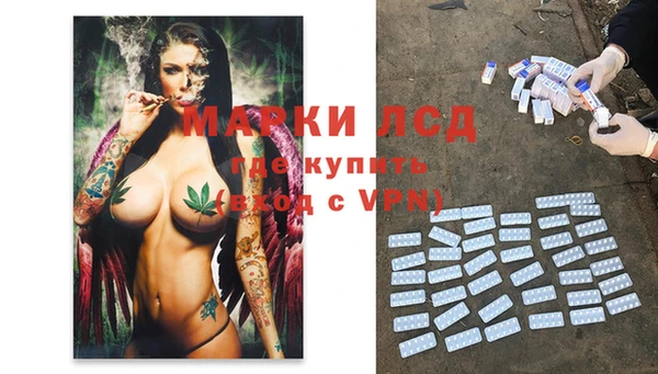 хмурый Мегион