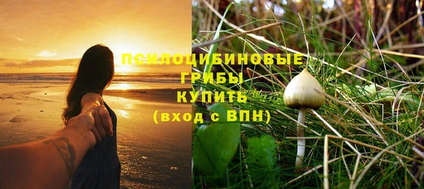 хмурый Мегион