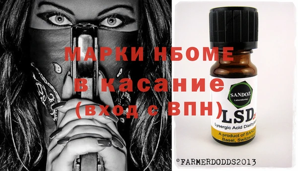 хмурый Мегион