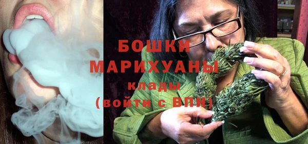 хмурый Мегион