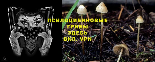 кокс Алексин