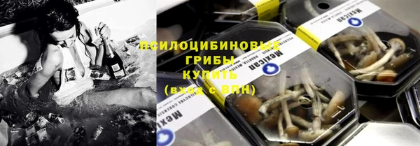 кокс Алексин